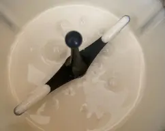 Step <p>Añada la harina y la sal mezcle 4 segundos velocidad 4</p><p>retiré la mariposa y terminé de mezclar suavemente con la espátula.</p><p>vierta la mezcla en la bandeja preparada para el horno</p><p>Horneamos 10 minutos</p> illustration