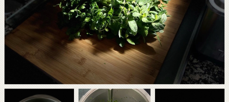 Picar hierbas Aromáticas en Thermomix