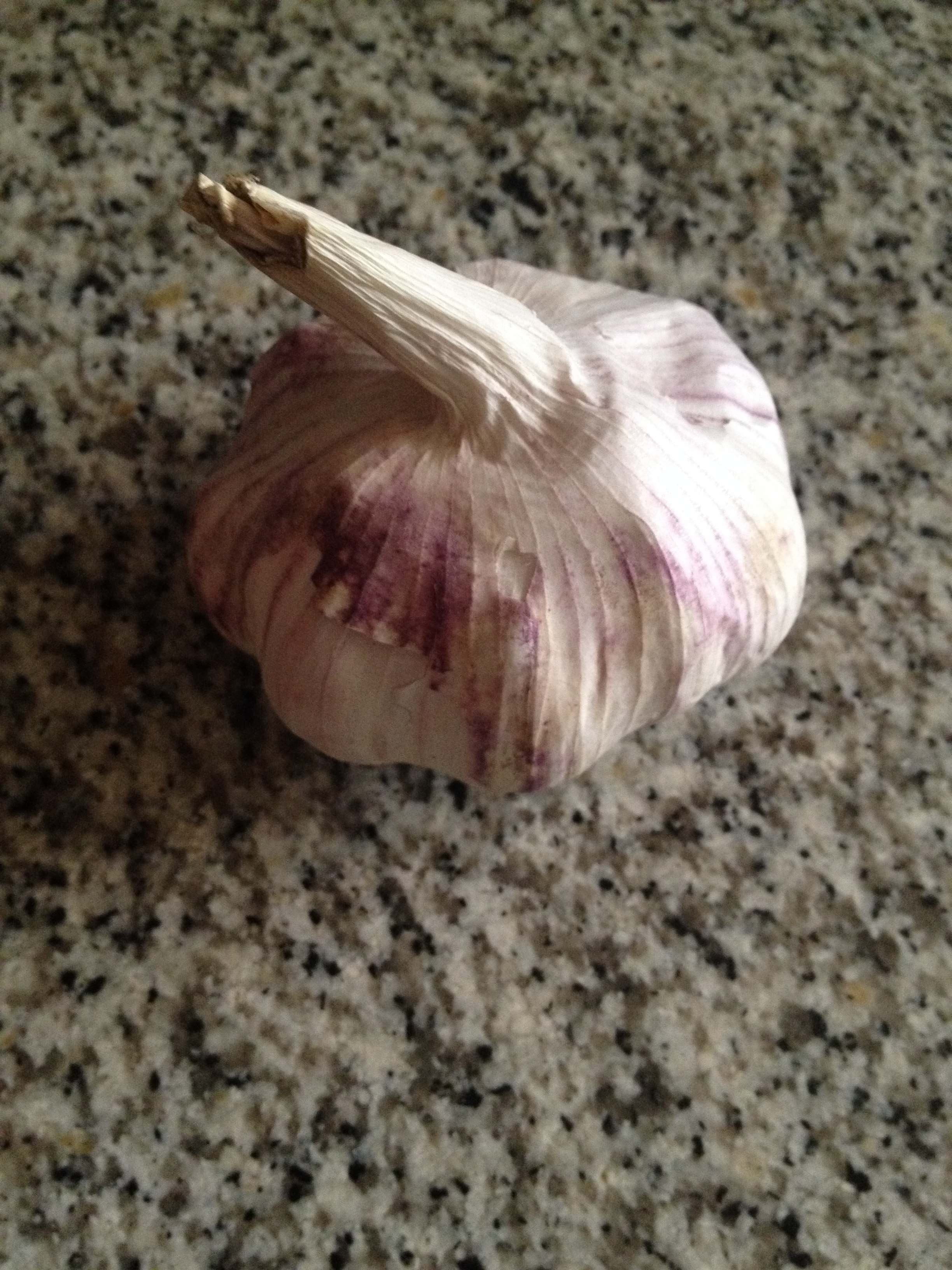 Como Pelar Ajos con Thermomix