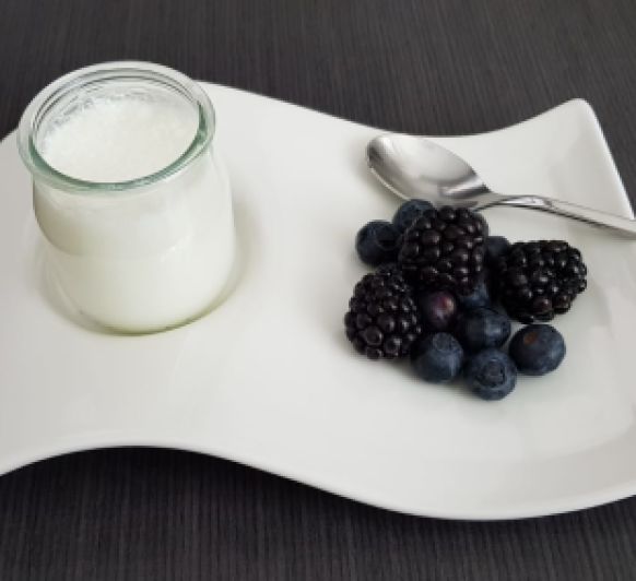 APRENDE LOS NUEVOS MODOS QUE TE OFRECE EL Thermomix® TM6: FERMENTACIÓN, Yogur natural en varoma